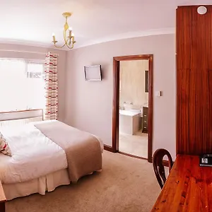 The Harp Bed and breakfast